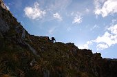 Al Lago di Coca e alla Bocchetta dei Camosci (2719 m.) il 21 giugno 2009 - FOTOGALLERY